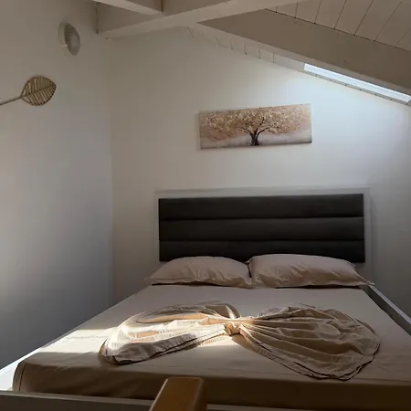 Apartment Friendly 2